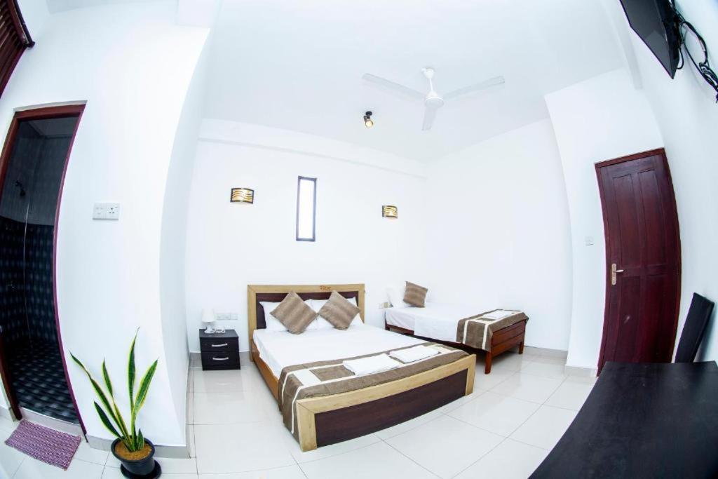 Hotel Blue Bird Negombo Exteriér fotografie