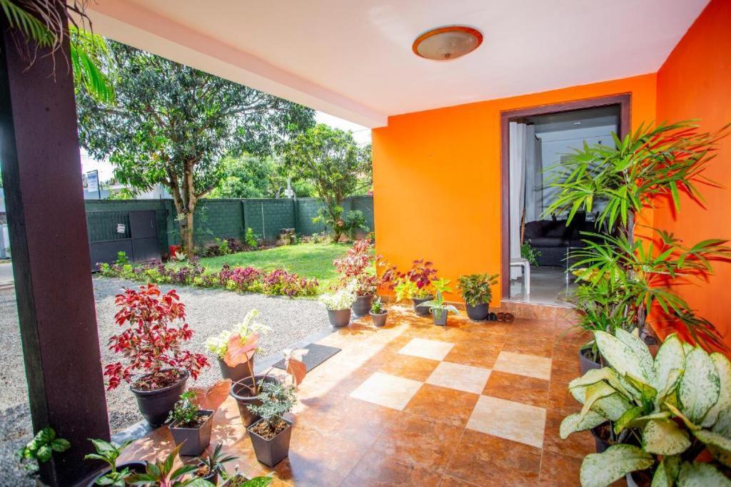 Hotel Blue Bird Negombo Exteriér fotografie