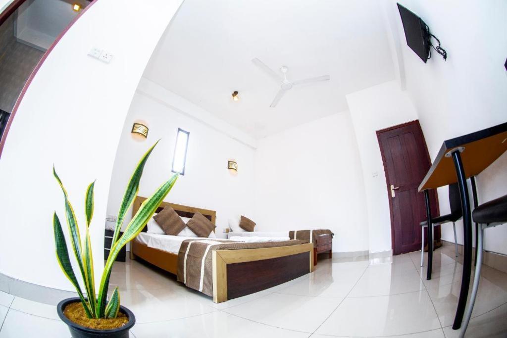 Hotel Blue Bird Negombo Exteriér fotografie